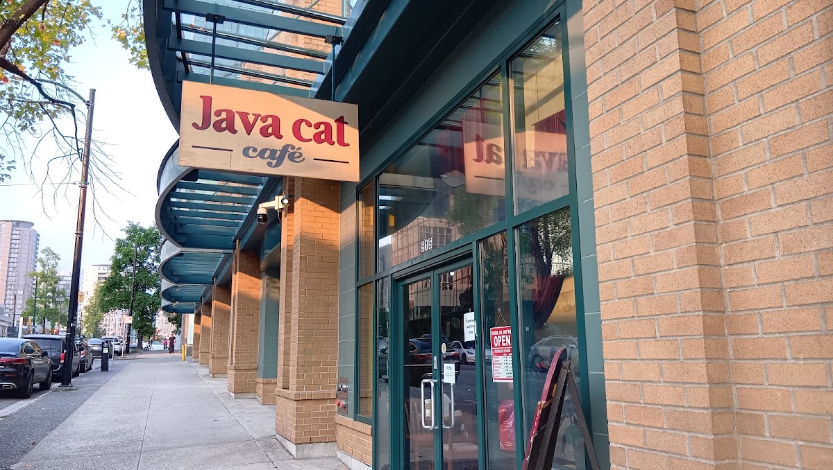 Java Cat Cafe Vancouver